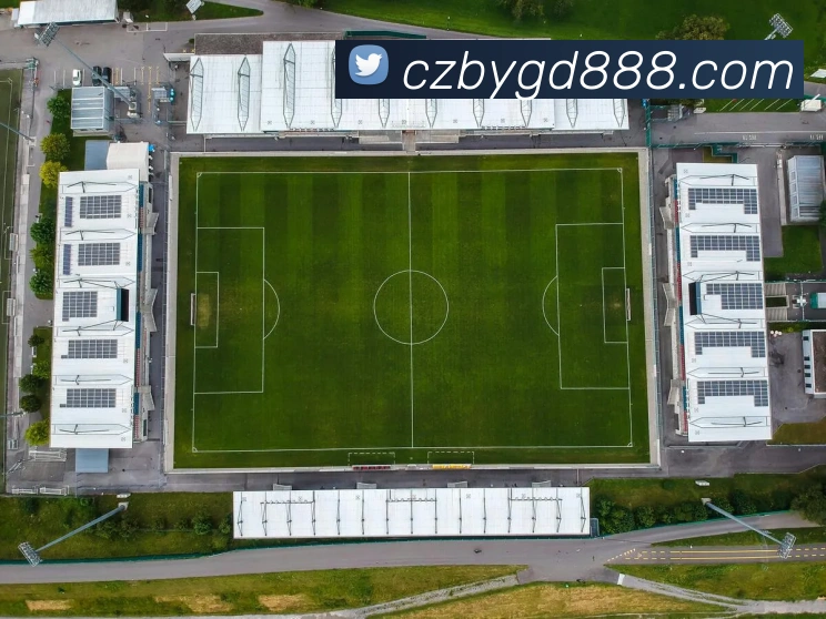 华体会平台生态图